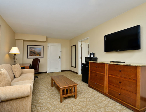 Suite Accommodations